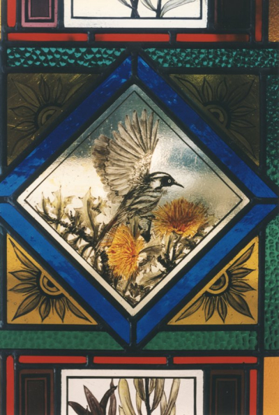 White-faced Honey-eater