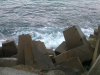 Sculpture by the Sea