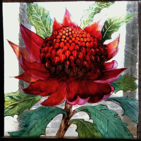 Painted waratah for Balmain