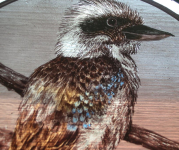Detail of kookaburra