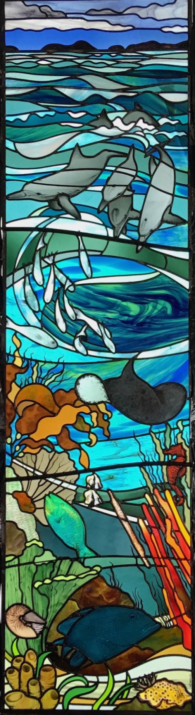Dolphin window