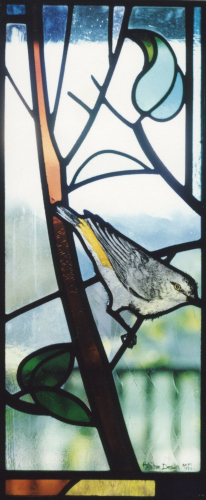 Native Birds, Cooma