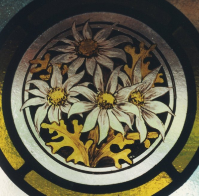 Flannel Flowers